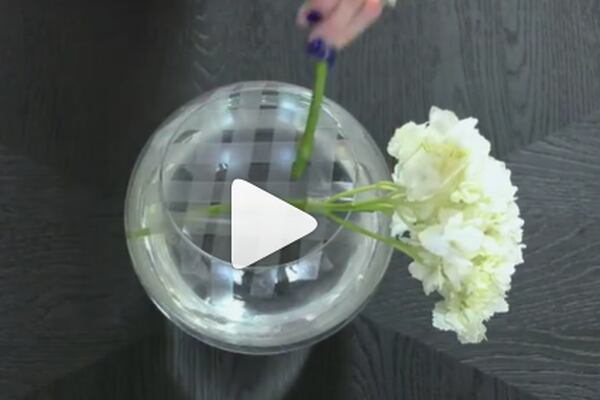 Brittany Aldean Shares Flower Arrangement Tutorial