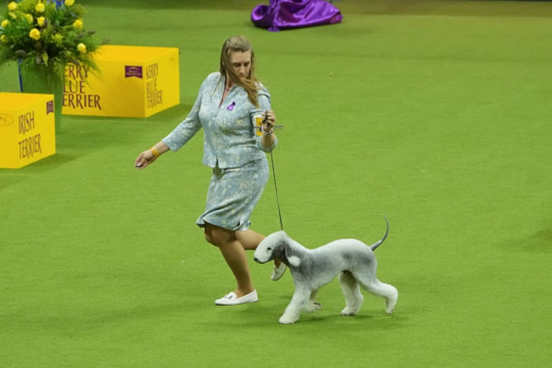 Westminster Kennel Club