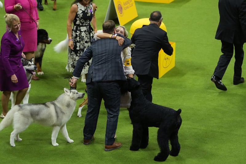 Westminster Kennel Club