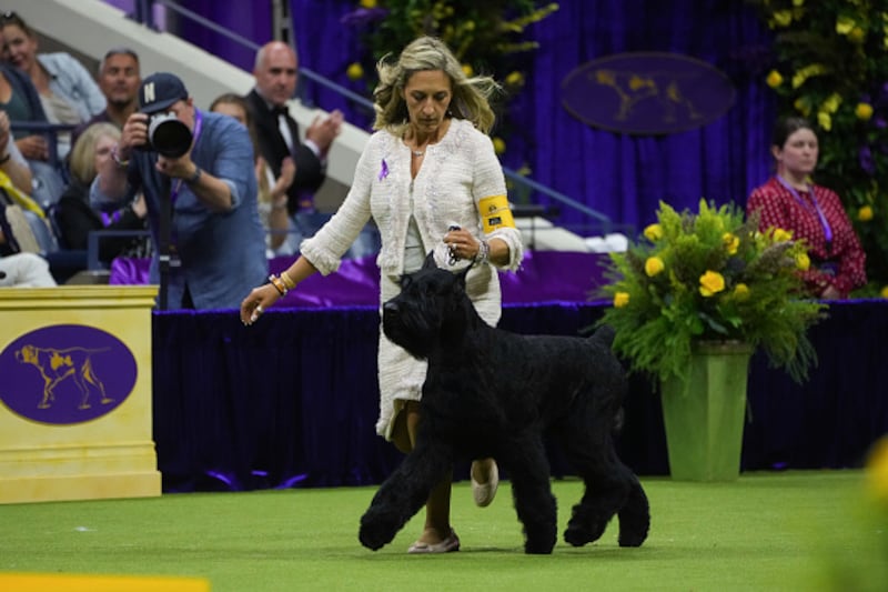 Westminster Kennel Club