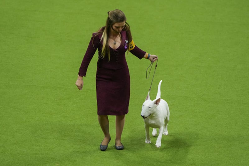 Westminster Kennel Club