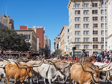 2022 Western Heritage Parade and Cattle Drive