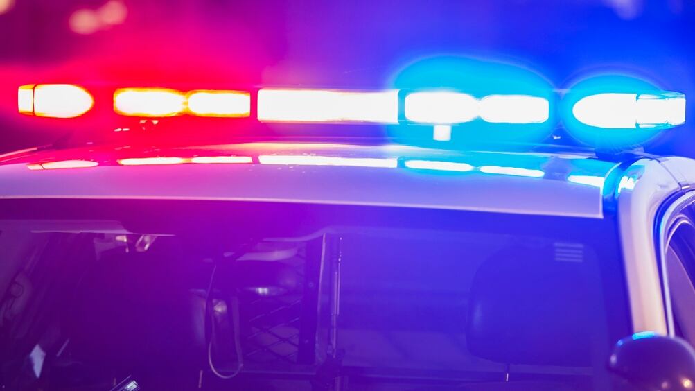 A worker was crushed to death by an industrial robot at a vegetable packaging plant in South Korea on Tuesday.