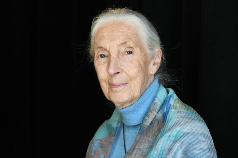 Dr. Jane Goodall