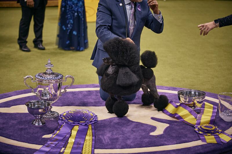 Westminster Kennel Club