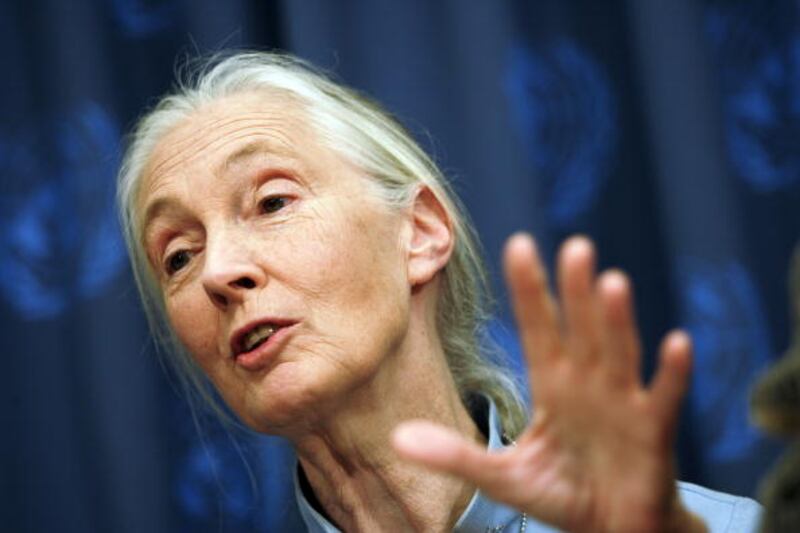 Dr. Jane Goodall