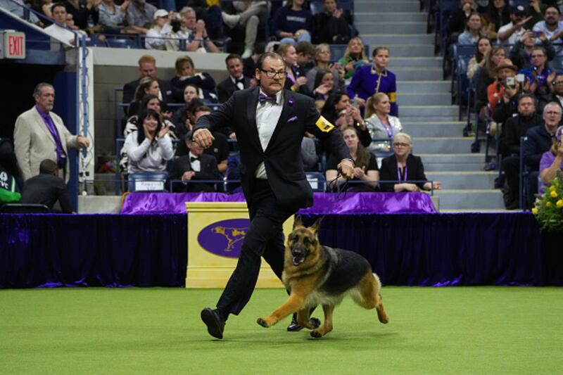 Westminster Kennel Club